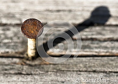 Rusty Nail Head and Shadow on Old Wood Stock Photo