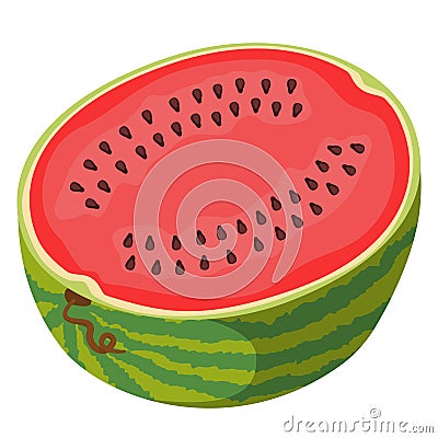 Half watermelon in cartoon style. Vector Illustration