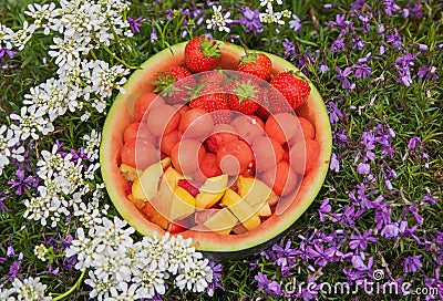 half of a watermelon filled with decorative fruit, flowerbed surrounding Stock Photo