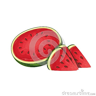 Half watermelon and slices Vector Illustration