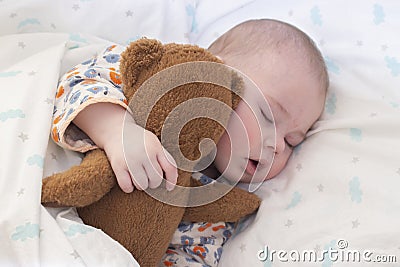 Half-year baby kid sleeps with a teddy bear. Portrait of cute sleeping baby, plump lips, snub nose. close-up soft focus Stock Photo