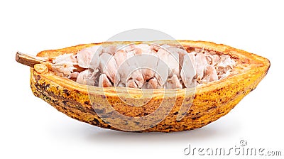 Half of yellow colored opened cocoa pod with fresh cocoa beans isolated on white background. Clipping path Stock Photo