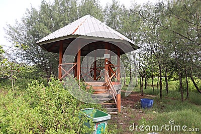 the halfway house is still standing strong in the middle of the forest Editorial Stock Photo