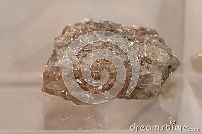 Halite collection stone on display selective focus Stock Photo