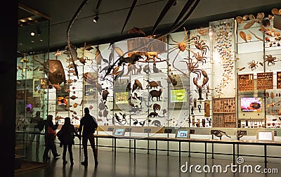 Hall of biodiversity at the American museum of Natural History AMNH - New York, USA Editorial Stock Photo