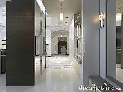 Hall with a corridor in Contemporary style with a wardrobe and a Stock Photo