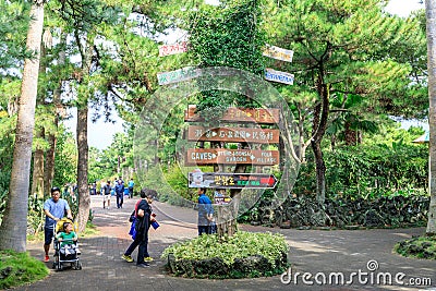 Hallim Park, one of the most popular tourist spots on oct 5, 2017 in Jeju, Korea Editorial Stock Photo