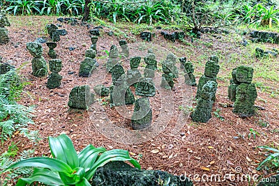 Hallim Park, one of the most popular tourist spots on oct 5, 2017 in Jeju, Korea Editorial Stock Photo