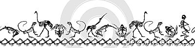 Halloween animals - black skeletons of reptiles crocodiles, lizards, frogs, monkeys and birds ostriches and herons Cartoon Illustration