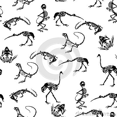 Black skeletons of reptiles crocodiles, lizards, frogs, monkeys and birds ostriches and herons on white background. Cartoon Illustration