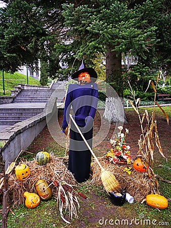 Halloween arrangement with pumpkins and witch Stock Photo