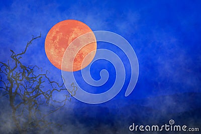 Halloween background ~ Full Moon & Twisted Tree Branches Stock Photo