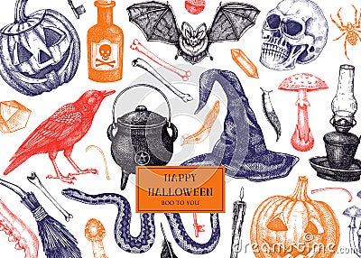 Halloween banner in color. Hand drawn vector illustration. Skulls, bones, pumpkin, poisonous mushrooms, snakes, raven, witch hat Vector Illustration