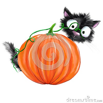 Halloween black cat behind pumpkin Stock Photo