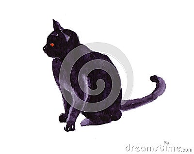 Halloween black cat night autumn Stock Photo