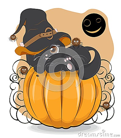 Halloween black cat on pumpkin in hat Vector Illustration