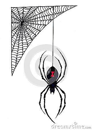 Halloween Black Widow Spider Hangs from its Web Stock Photo