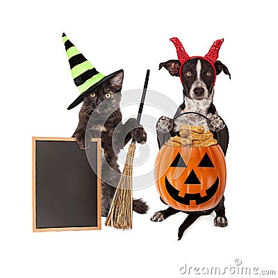 Halloween Cat and Dog Blank Chalkboard Stock Photo