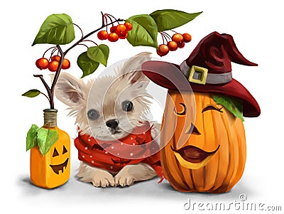 Halloween for Chihuahuas Stock Photo