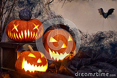 Halloween composition of burning pumpkin with bat. Cobwebs branches atmosphere Stock Photo