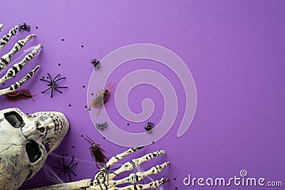 Halloween concept. Top view photo of skull skeleton hands spiderweb spiders cockroaches centipedes and confetti on isolated violet Stock Photo