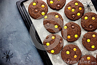 Halloween cookies, chocolate american cookies Stock Photo