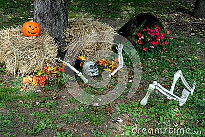 Halloween decoration Stock Photo