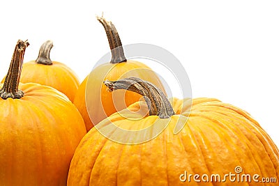 Halloween decoration Stock Photo