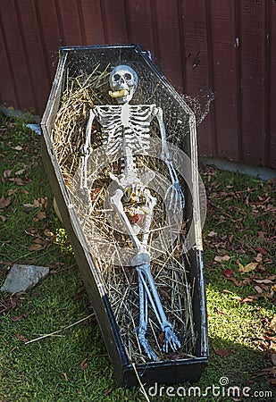 Halloween decoration skeleton in a coffin Stock Photo
