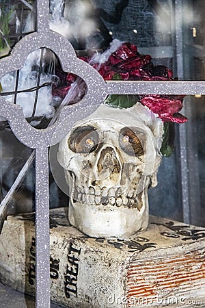 Halloween decoration - Skull with flowers around its head and lighted eyes sits inside a glass case on a Trick or Treat book - sel Stock Photo