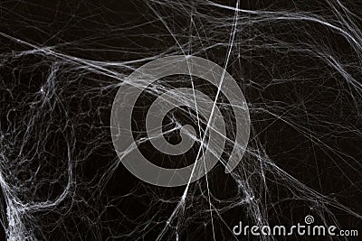 Halloween decoration of spider web over black Stock Photo