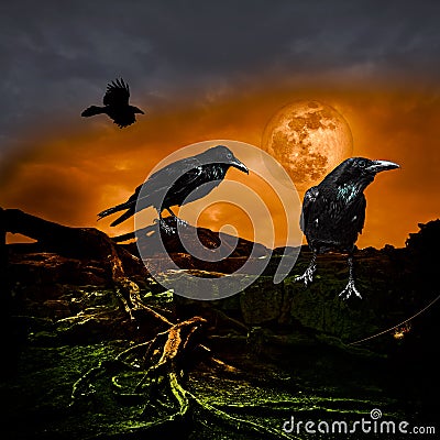 Halloween Design Holiday Party Background Full Moon Raven Crow Stock Photo
