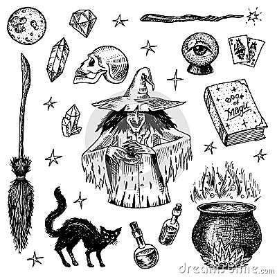 Halloween elements. Magic ball, witch with book of spells, cursed black cat, beldam and sorcery, hag or hex, potion and Vector Illustration