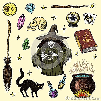 Halloween elements. Magic ball, witch with book of spells, cursed black cat, beldam and sorcery, hag or hex, potion and Vector Illustration