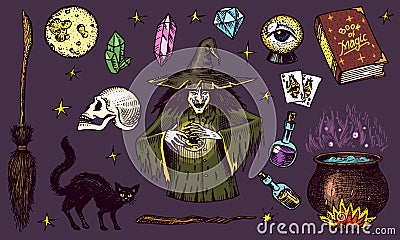 Halloween elements. Magic ball, witch with book of spells, cursed black cat, beldam and sorcery, hag or hex, potion and Vector Illustration