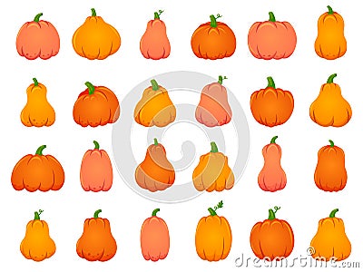 Halloween fall pumpkins. Cartoon traditional decoration, holiday orange pumpkin, october Halloween harvest isolated Vector Illustration