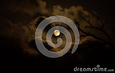 Halloween full moon amidst gloomy clouds and leafless tree branches creating a spooky and mysterious atmosphere Stock Photo