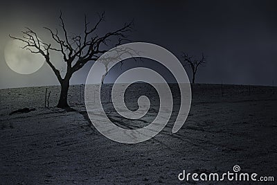 Halloween full moon background Stock Photo