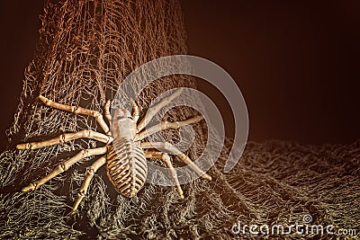 Halloween fun, spider skeleton climbing up a net Stock Photo