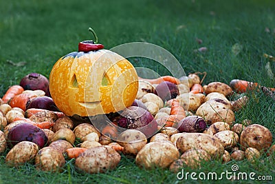 Halloween funny pumpkin with autumn harvest potatoes, carrots, beets on a green grass Stock Photo