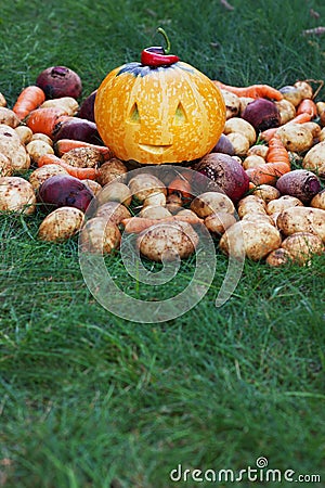 Halloween funny pumpkin with autumn harvest potatoes, carrots, beets on a green grass Stock Photo