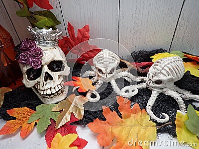 Halloween haunted decoration. Two Octopus' and a princess skull head Stock Photo