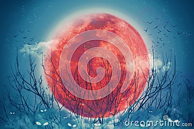 Halloween holiday background concept,Red full moon illuminated at night and horror eyes of jack pumpkin in the fog. Stock Photo