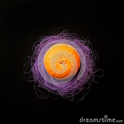 Halloween holiday concept, pumpkin and puprle nest on black background Stock Photo