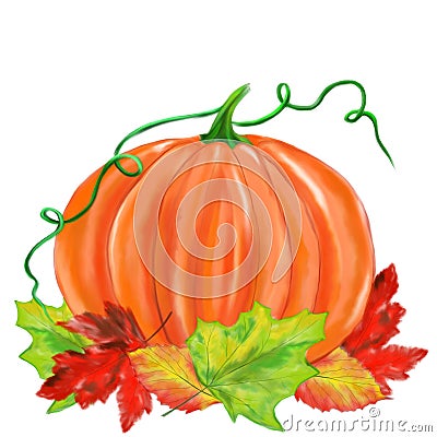 Halloween illustrated pumpkin with leaves Stock Photo