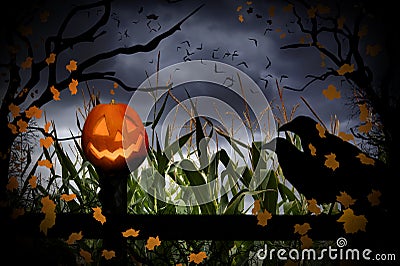 Halloween Jack-O-Lantern and Crows Stock Photo