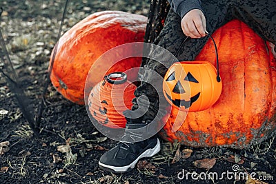 Halloween kids. A basket of Jack O Lantern chocolates in the background of huge ugly pumpkins in the hands of a child. Cute little Stock Photo