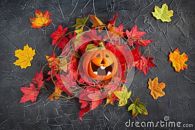 Halloween, laughing pumpkin in a nest of maple leaves on a black background. Stock Photo