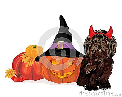 Halloween. Little dog and pumpkin. Vector illustration. Vector Illustration