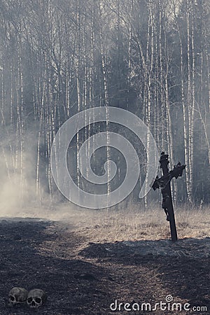 Halloween mystical background with dark forest Stock Photo